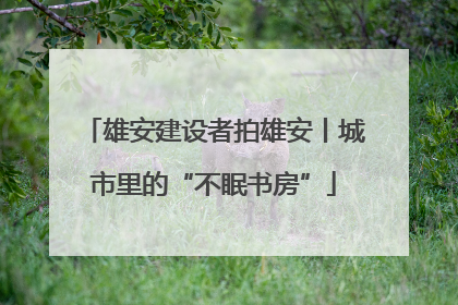 雄安建设者拍雄安丨城市里的“不眠书房”