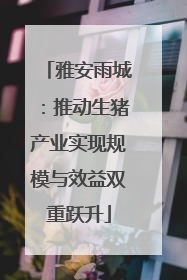 雅安雨城：推动生猪产业实现规模与效益双重跃升