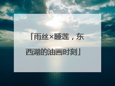 雨丝×睡莲，东西湖的油画时刻