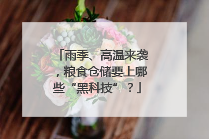 雨季、高温来袭，粮食仓储要上哪些“黑科技”？