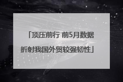 顶压前行 前5月数据折射我国外贸较强韧性