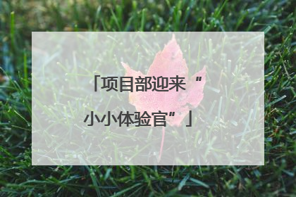 项目部迎来“小小体验官”