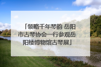 领略千年琴韵 岳阳市古琴协会一行参观岳阳楼博物馆古琴展