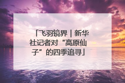 飞羽镜界｜新华社记者对“高原仙子”的四季追寻