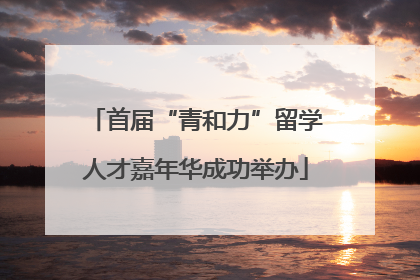 首届“青和力”留学人才嘉年华成功举办