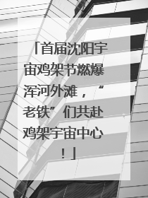 首届沈阳宇宙鸡架节燃爆浑河外滩，“老铁”们共赴鸡架宇宙中心！