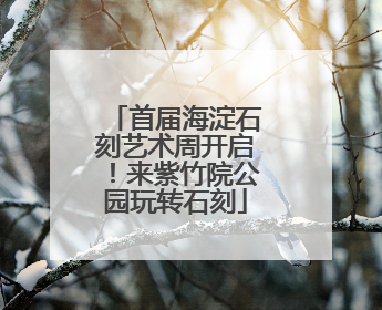 首届海淀石刻艺术周开启！来紫竹院公园玩转石刻