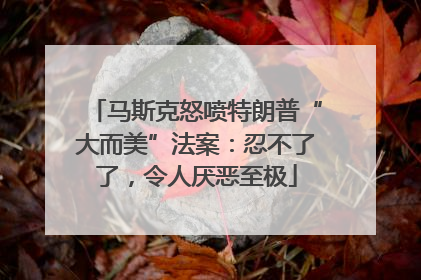 马斯克怒喷特朗普“大而美”法案：忍不了了，令人厌恶至极