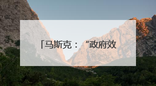 马斯克：“政府效率部”成了一切的替罪羊，这不公平
