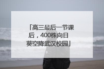 高三最后一节课后，400株向日葵空降武汉校园