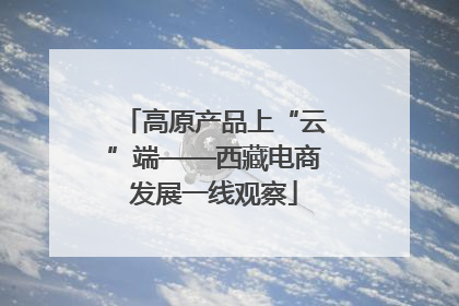 高原产品上“云”端——西藏电商发展一线观察