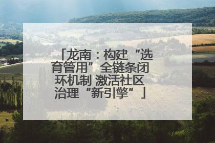 龙南：构建“选育管用”全链条闭环机制 激活社区治理“新引擎”