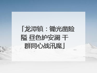龙潭镇：锄光凿险隘 昼色护安澜 干群同心战汛魔