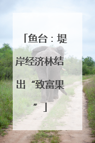 鱼台：堤岸经济林结出“致富果”