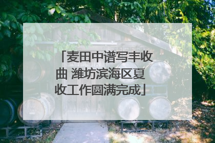 麦田中谱写丰收曲 潍坊滨海区夏收工作圆满完成