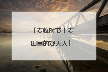 麦收时节丨麦田里的观天人