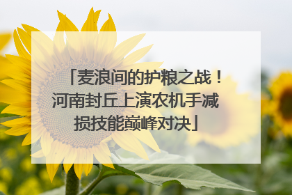 麦浪间的护粮之战！河南封丘上演农机手减损技能巅峰对决