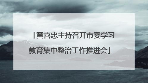 黄喜忠主持召开市委学习教育集中整治工作推进会