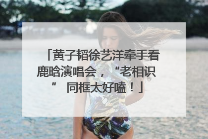 黄子韬徐艺洋牵手看鹿晗演唱会，“老相识” 同框太好嗑！