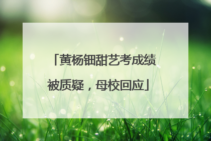 黄杨钿甜艺考成绩被质疑，母校回应