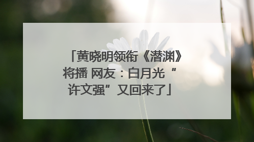 黄晓明领衔《潜渊》将播 网友：白月光“许文强”又回来了