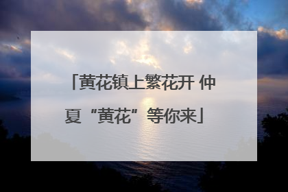 黄花镇上繁花开 仲夏“黄花”等你来