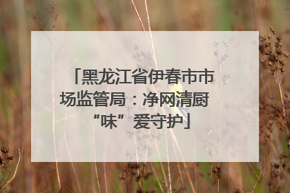 黑龙江省伊春市市场监管局：净网清厨 “味”爱守护