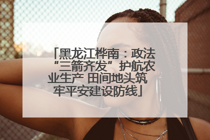 黑龙江桦南：政法“三箭齐发”护航农业生产 田间地头筑牢平安建设防线