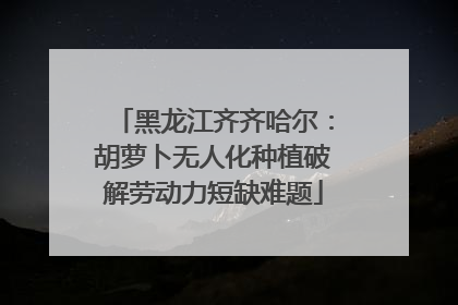 黑龙江齐齐哈尔：胡萝卜无人化种植破解劳动力短缺难题