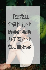 黑龙江：全省性行业协会商会助力伊春产业高质量发展