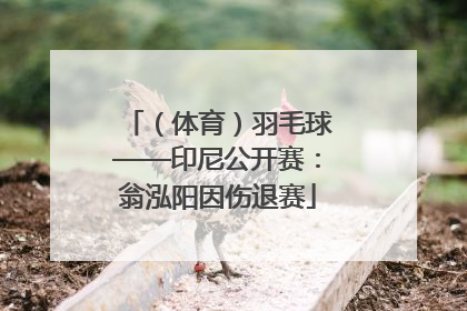 （体育）羽毛球——印尼公开赛：翁泓阳因伤退赛