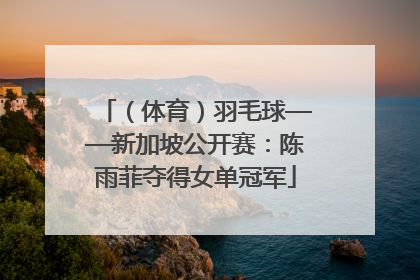 （体育）羽毛球——新加坡公开赛：陈雨菲夺得女单冠军