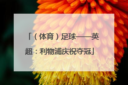 （体育）足球——英超：利物浦庆祝夺冠