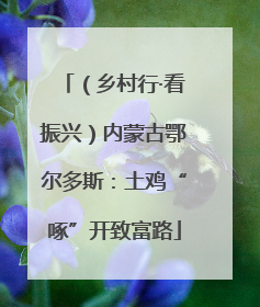 （乡村行·看振兴）内蒙古鄂尔多斯：土鸡“啄”开致富路