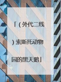 （外代二线）索斯托动物园的黑天鹅