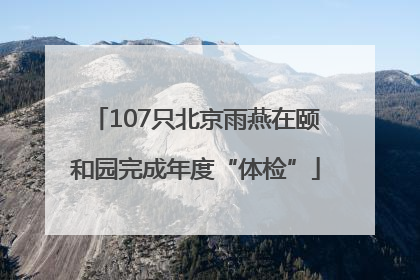 107只北京雨燕在颐和园完成年度“体检”