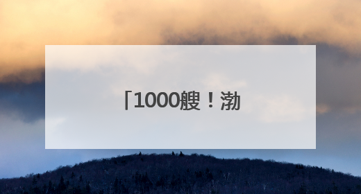 1000艘！渤海湾崛起世界级船舶租赁中心 促进全球贸易流动