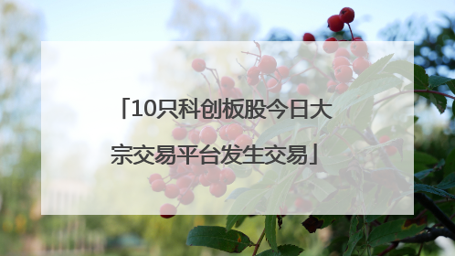 10只科创板股今日大宗交易平台发生交易