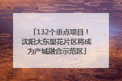132个重点项目！沈阳大东望花片区将成为产城融合示范区