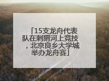 15支龙舟代表队在刺猬河上竞技，北京良乡大学城举办龙舟赛