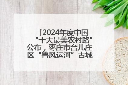 2024年度中国“十大最美农村路”公布，枣庄市台儿庄区“鲁风运河”古城文化廊道上榜！