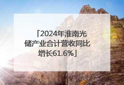 2024年淮南光储产业合计营收同比增长61.6%