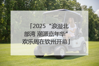 2025“浪漫北部湾 潮派嘉年华”欢乐周在钦州开幕