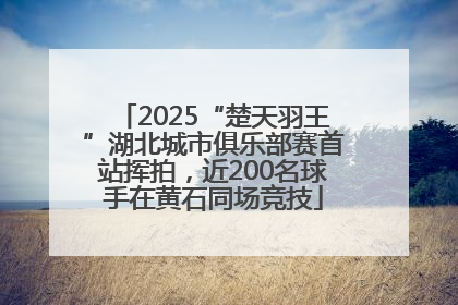2025“楚天羽王”湖北城市俱乐部赛首站挥拍，近200名球手在黄石同场竞技