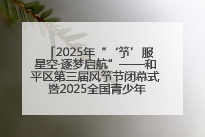 2025年“‘筝’服星空·逐梦启航”——和平区第三届风筝节闭幕式 暨2025全国青少年风筝制作放飞赛（沈阳站）颁奖仪式