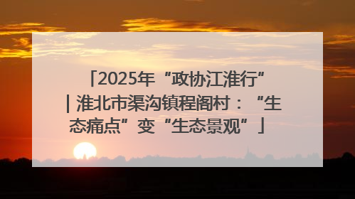 2025年“政协江淮行”｜淮北市渠沟镇程阁村：“生态痛点”变“生态景观”