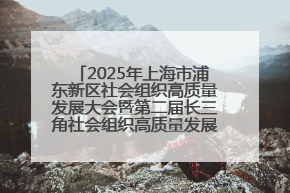 2025年上海市浦东新区社会组织高质量发展大会暨第二届长三角社会组织高质量发展峰会成功举办