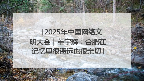 2025年中国网络文明大会｜董宇辉：合肥在记忆里很遥远也很亲切