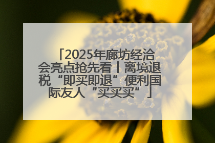 2025年廊坊经洽会亮点抢先看丨离境退税“即买即退”便利国际友人“买买买”