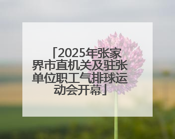 2025年张家界市直机关及驻张单位职工气排球运动会开幕
